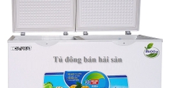 Tủ đông bán Hải sản  450 lít 1 chế độ đông giá rẻ