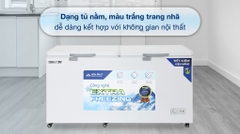 Tủ đông dung tích lớn Hòa Phát 1 ngăn 2 cánh HPF AD6544 1000L DÀN ĐỒNG