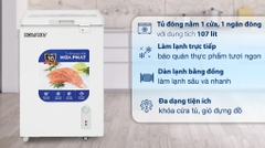 Tủ đông Mini Hòa Phát 1 ngăn 1 chế độ đông 107L