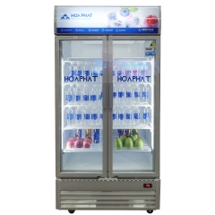 Tủ mát trưng bày Hòa Phát 1 ngăn 2 cánh HSR D6723 1100L