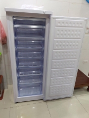 Tủ đông đứng Funiki Hòa Phát HCF 220S 216L 8 ngăn