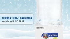 Tủ đông mini Hòa Phát HCF 106S1Đ 1 ngăn 1 cánh 110L nguyên đông Dàn đồng