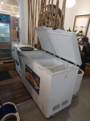 Tủ 1 ngăn đông 2 cánh mở 600L ( lòng sử dụng thực 352L) dài 1,3 MÉT  - DÀN ĐỒNG