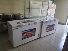 Tủ 1 ngăn đông 2 cánh mở 600L ( lòng sử dụng thực 352L) dài 1,3 MÉT  - DÀN ĐỒNG