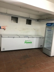Tủ đông Pinimax PNM-139AF 1300 lít 3 cánh