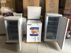Tủ đông mini 162L Hòa Phát trữ thực phẩm tết