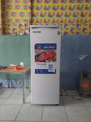 Tủ đông đứng mini 5 tầng 350SR1 150 lít giá rẻ