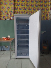 3 MẪU tủ đông đứng GIA ĐÌNH chia ngăn XẢ KHO TẾT
