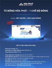 3 MẪU TỦ ĐÔNG LỚN HOÀ PHÁT 2 CÁNH, 3 CÁNH GIÁ RẺ