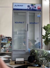 Tủ mát trưng bày Hòa Phát 1 ngăn 2 cánh HSR D6723