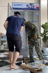 Tủ mát lớn trưng bày Hòa Phát 1 ngăn 2 cánh HSR D6812 1200L (lòng sử dụng trong 812L).