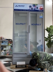 Tủ mát lớn trưng bày Hòa Phát 1 ngăn 2 cánh HSR D6812 1200L (lòng sử dụng trong 812L).
