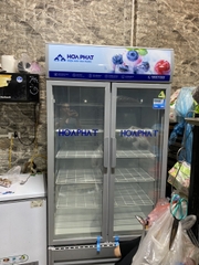 Tủ mát trưng bày Hòa Phát 1 ngăn 2 cánh HSR D6723 900L