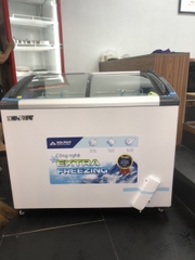 Tủ đông trưng bày Hòa Phát 1 ngăn 2 cánh HSF AD6280.C1