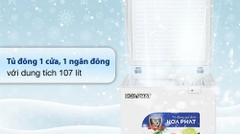 Tủ đông Hoà Phát 107 Lít HPF AD6107 / HCF 106S1Đ1
