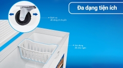 Tủ đông Hòa Phát 252 Lít HPF AN6252 / HCF 516S1N1