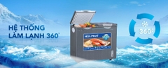 Tủ đông Hòa Phát 205 Lít HPF BD6205G / HCF 506 S2Đ2SH