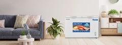 Tủ đông Hoà Phát Inverter 245 Lít HPF BD8245 / HCFI 606 S2Đ2