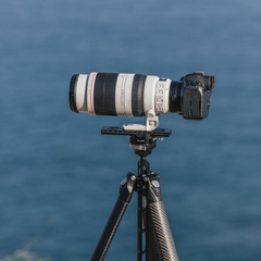 FALCAM TreeRoot Quick Lock Travel Tripod (R141K-320P) - T00A4301