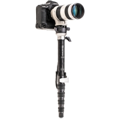 Chân máy Benro Monopod Supadupa Carbon - MSDPL46C