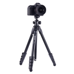 Chân máy Benro FOX Tripod Kit - TFX15AGT0