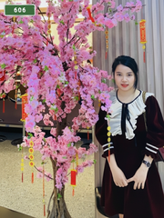 번호 606: 다낭(베트남)의 가정 및 호텔 마사지 서비스