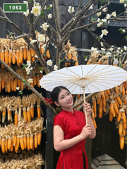 번호 1053: 베트남 호치민 자택과 호텔에서 마사지