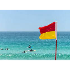 Cờ cảnh báo bãi biển