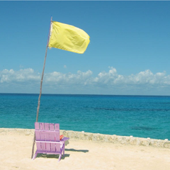 Cờ cảnh báo bãi biển