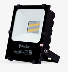 Đèn Pha LED 100W