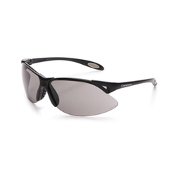 Kính bảo hộ Honeywell A902 đen