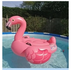 Phao thú hồng hồ bơi