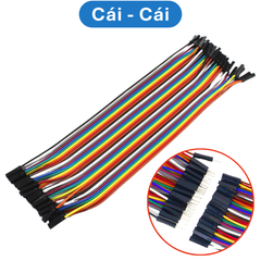 Dây bus 2.54 đủ màu 10 - 40cm ( 40 sợi 1 bus)