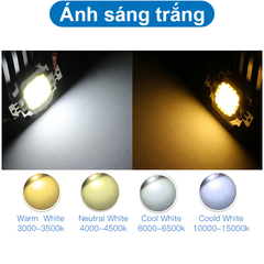 LED COB công suất 12V 10W 20x29 siêu sáng