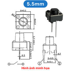(50 Cái) Nút nhấn 6x6mm 2 chân cắm đứng cao 4.3 - 9mm