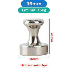 Nam châm núm inox đính bảng