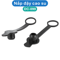 Đầu cái cắm nguồn, jack cái cắm nguồn DC
