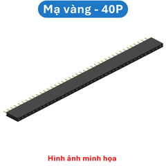 Hàng rào cái đơn 2.54mm cắm chân đứng cao 8.5mm