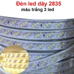 Đèn led dây 2835 màu trắng 3 led