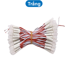 (100 con) LED ruồi liền dây 5mm đấu song song điện áp 5V,12V