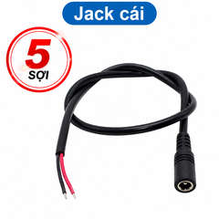 Jack nguồn dc 5.5x2.1 - Đực / Cái 20cm