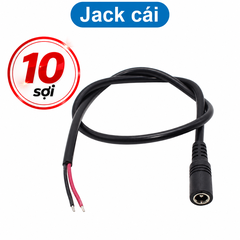 Jack nguồn dc 5.5x2.1 - Đực / Cái 20cm