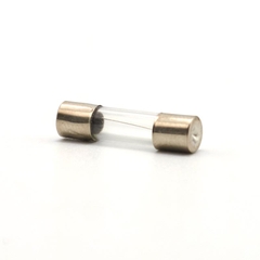 (10 cái) Cầu chì ống thuỷ tinh 5x20mm, 6x30mm