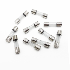 (10 cái) Cầu chì ống thuỷ tinh 5x20mm, 6x30mm
