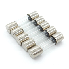(10 cái) Cầu chì ống thuỷ tinh 5x20mm, 6x30mm