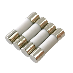 (5 cái) Cầu chì sứ 5x20mm, 6x30mm