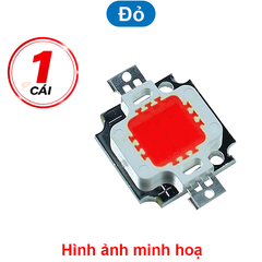 LED COB công suất 12V 10W 20x29 siêu sáng