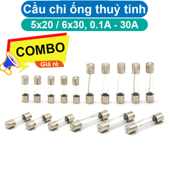 (10 cái) Cầu chì ống thuỷ tinh 5x20mm, 6x30mm