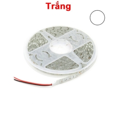 Cuộn LED 5050 chống thấm nước 60 Led/m