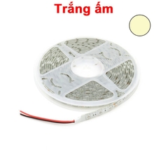 Cuộn LED 5050 chống thấm nước 60 Led/m